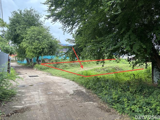 picture LAND 81 Sq.w. Khok Samrong Lopburi for 300,000 - 5/19