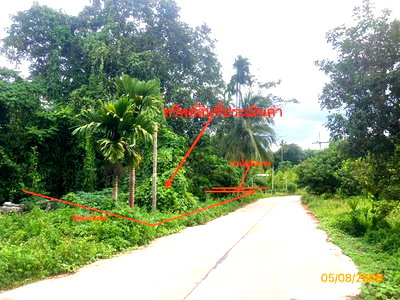 ที่ดิน สุราษฎร์ธานี : ที่ดินว่างเปล่า 321.8 ตร.วา บ้านนาเดิม สุราษฎร์ธานี 644,000