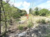 listing thumbnail image 26