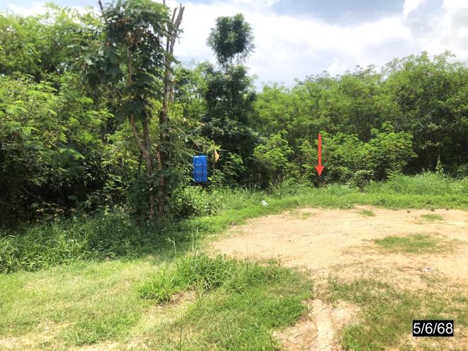 picture LAND 732 Sq.w. Chum Phae Khon Kaen for 13.4M - 6/17