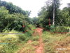 listing thumbnail image 28
