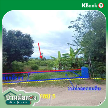 picture LAND 2211.4 Sq.w. Fang Chiang Mai for 2M - 17/19