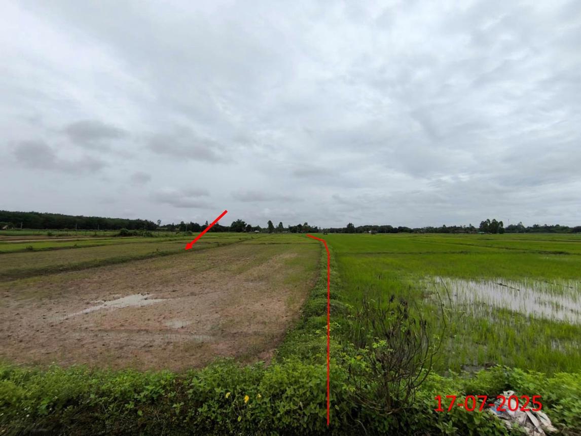 picture LAND 2709 Sq.w. Hang Chat Lamphang for 1.2M - 14/23