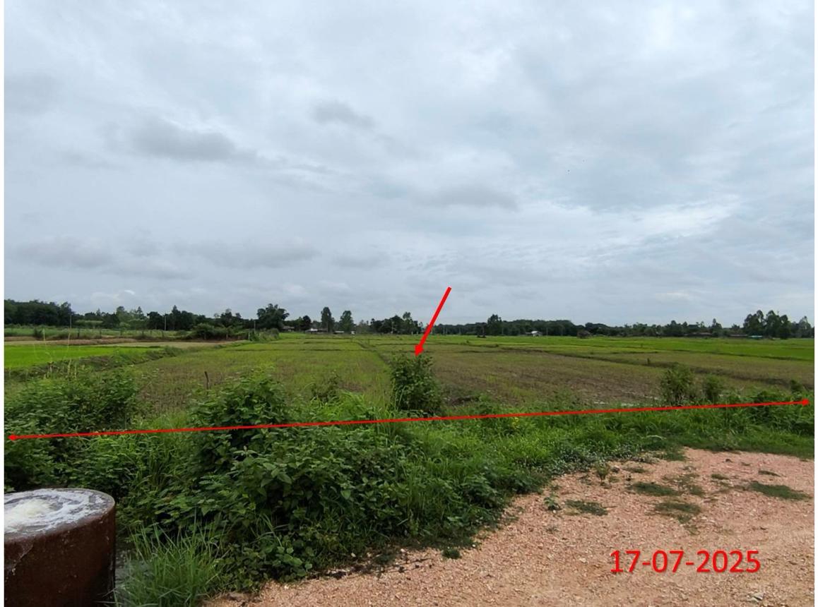 picture LAND 2709 Sq.w. Hang Chat Lamphang for 1.2M - 13/23