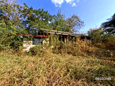 บ้านเดี่ยว ถนนนิตโย อุดรธานี : บ้านเดี่ยว 322 ตร.วา พังโคน สกลนคร 1.5M