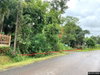 listing thumbnail image 30