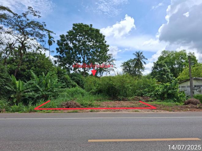 รูป ที่ดินว่างเปล่า 285.9 ตร.วา ปะเหลียน ตรัง 2.7M - รูปที่ 1/25