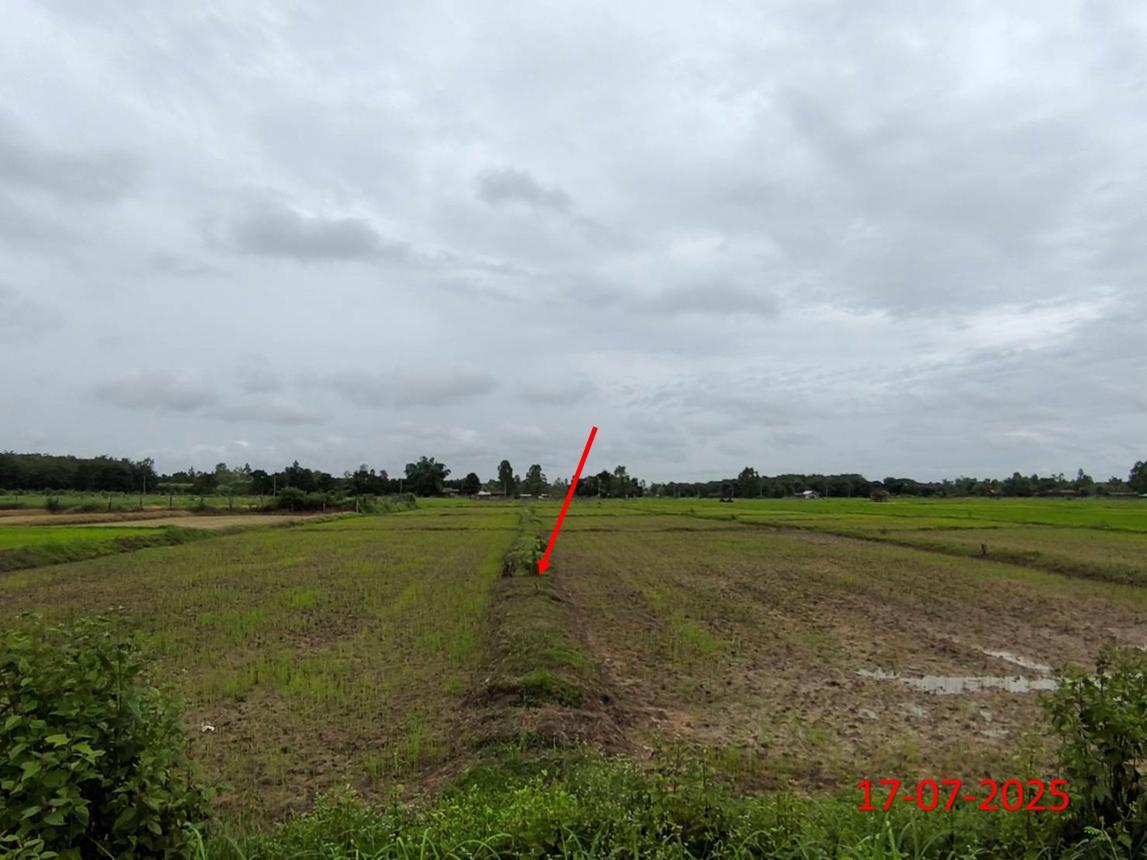 picture LAND 2709 Sq.w. Hang Chat Lamphang for 1.2M - 15/23