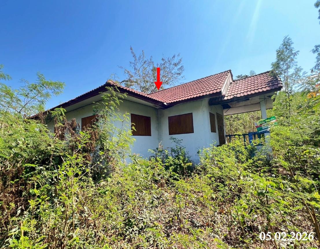 รูป บ้านเดี่ยว 372 ตร.วา น้ำปาด อุตรดิตถ์ 1.5M - รูปที่ 13/25