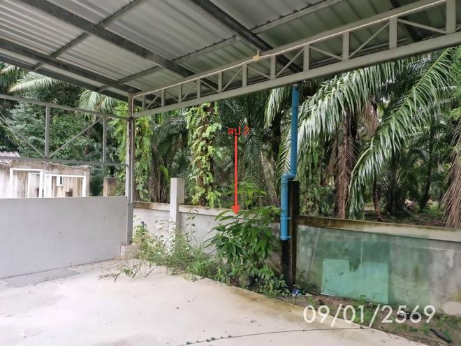 picture FACTORY 174 Sq.w. Khanom Nakhon Sri Thammarat for 737,000 - 7/21