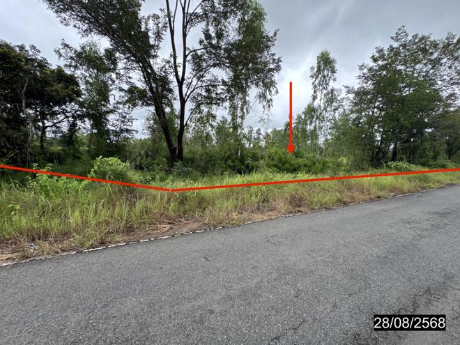 picture LAND 5200 Sq.w. Senangkhanikhom Amnat Charoen for 3.7M - 1/25