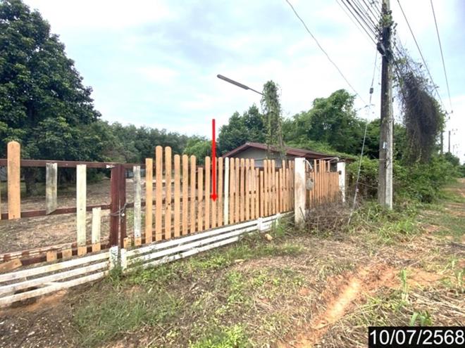 รูป บ้านเดี่ยว 9771.8 ตร.วา รัตนวาปี หนองคาย 14.3M - รูปที่ 23/53