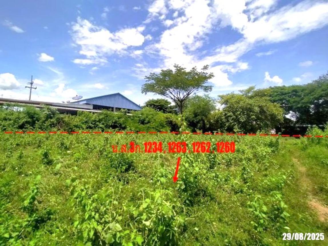 picture FACTORY 2059 Sq.w. Na Klang Nong Bua Lam Phu for 10.3M - 23/27