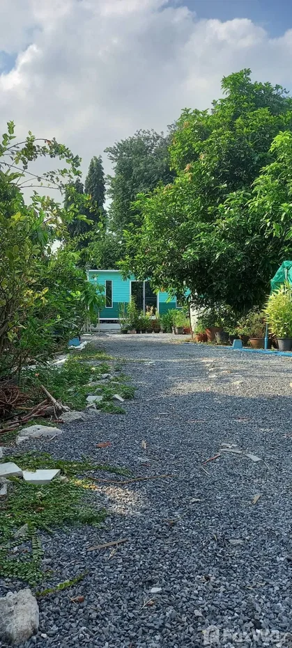 รูป ขาย บ้านเดี่ยว 1 ห้องนอน ใน คลองตันเหนือ, กรุงเทพมหานคร 6787337 - รูปที่ 3/5