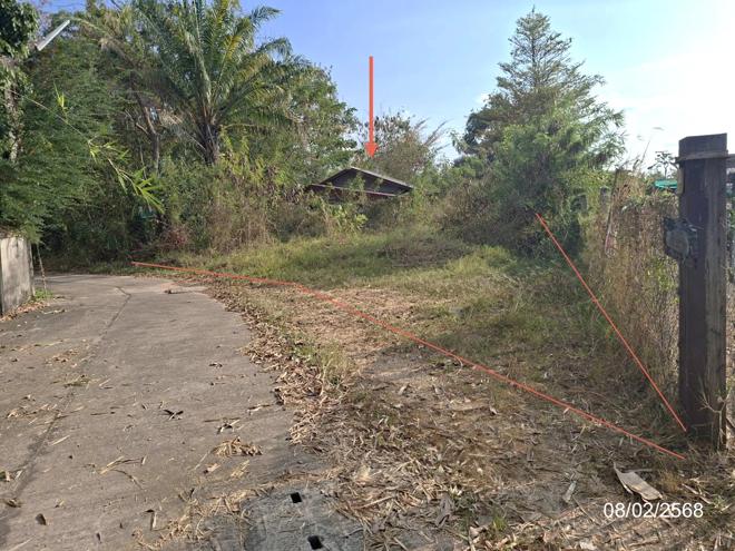 รูป บ้านเดี่ยว 322 ตร.วา พังโคน สกลนคร 1.5M - รูปที่ 2/31