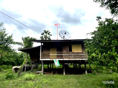 บ้านเดี่ยว ชัยนาท : บ้านเดี่ยว 765 ตร.วา เนินขาม ชัยนาท 525,000
