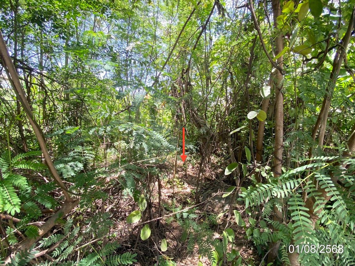 รูป ที่ดินว่างเปล่า 134.9 ตร.วา เมืองขอนแก่น ขอนแก่น 3.9M - รูปที่ 13/17