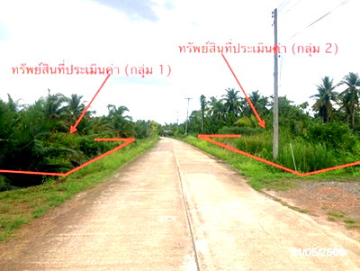 ที่ดิน สุราษฎร์ธานี : ที่ดินว่างเปล่า 1945.7 ตร.วา เมืองสุราษฎร์ธานี สุราษฎร์ธานี 5.2M