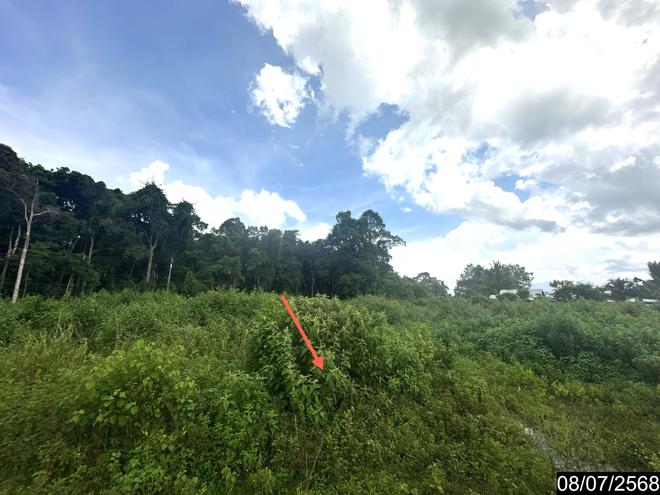 รูป ที่ดินว่างเปล่า 5451.5 ตร.วา นาจะหลวย อุบลราชธานี 8.7M - รูปที่ 6/25