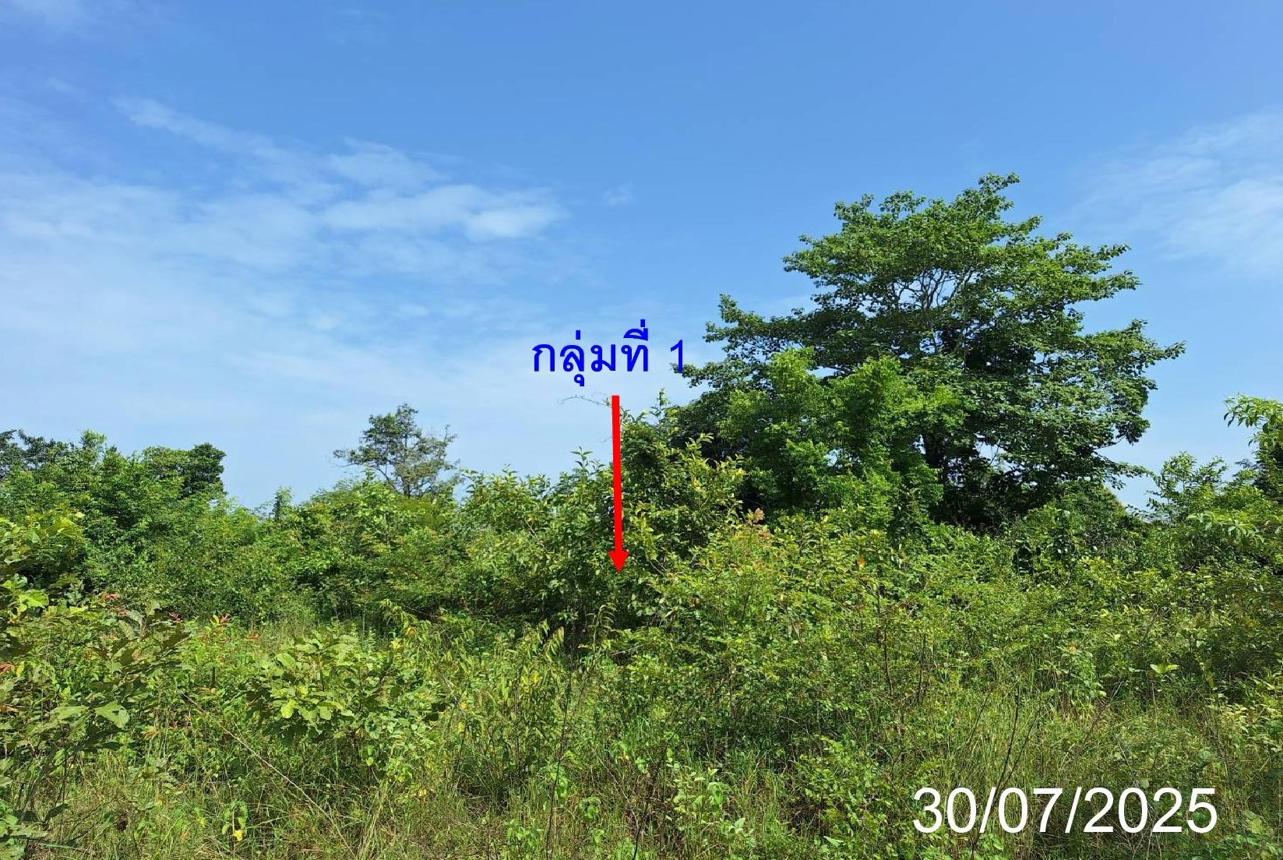 picture LAND 330 Sq.w. Mae Tha Lamphang for 444,000 - 14/23