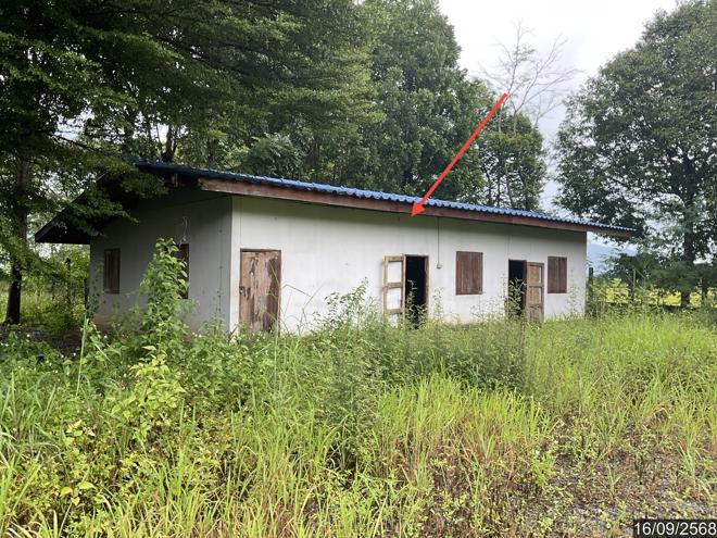 picture HOME 3722 Sq.w. Phaya Mengrai Chiang Rai for 6M - 13/55