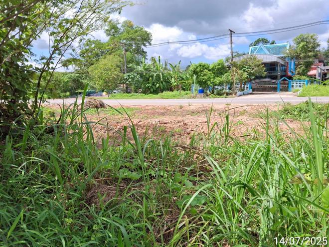 รูป ที่ดินว่างเปล่า 285.9 ตร.วา ปะเหลียน ตรัง 2.7M - รูปที่ 4/25