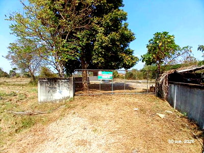 Factory for sale Lamphang : FACTORY 1538 Sq.w. Mae Tha Lamphang for 1.7M