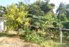 listing thumbnail image 11