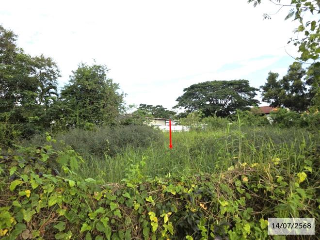รูป ที่ดินว่างเปล่า 167.8 ตร.วา เมืองสกลนคร สกลนคร 2.3M - รูปที่ 6/25