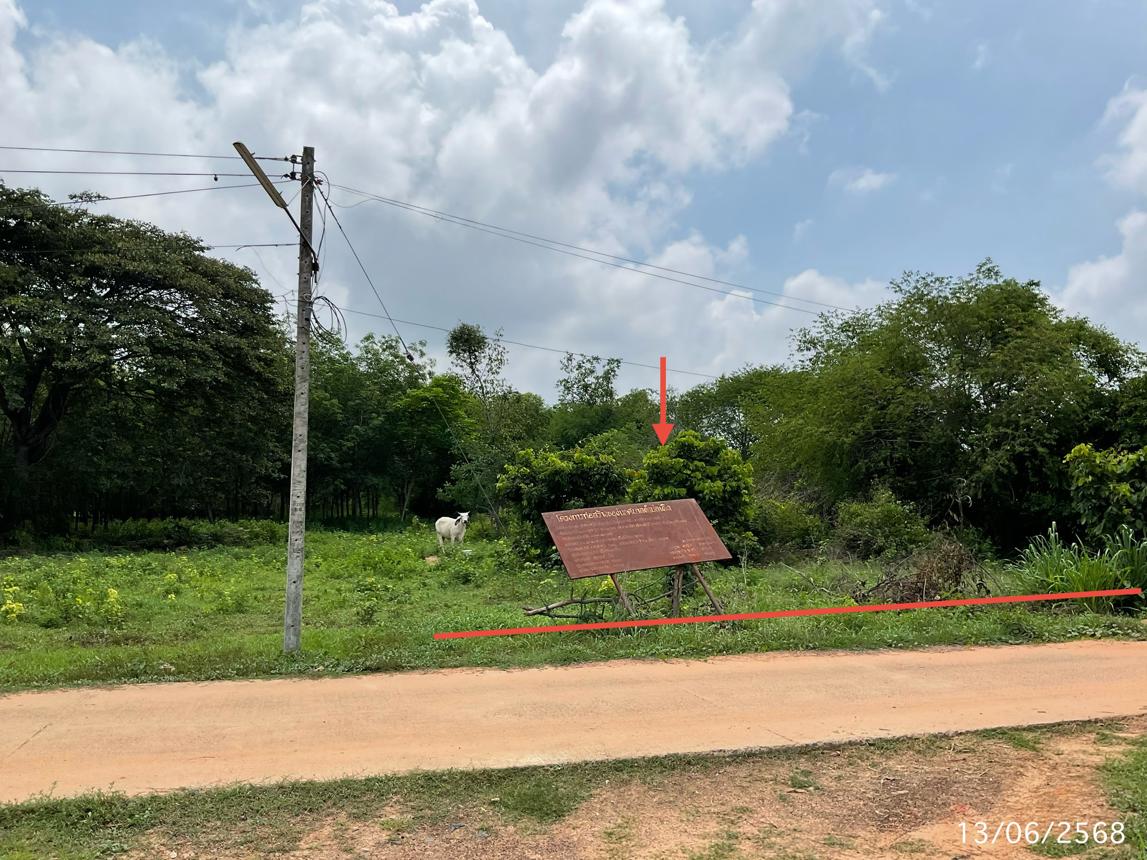 picture LAND 1777.2 Sq.w. Muang Ya Sothon Yasothon for 1.4M - 12/25