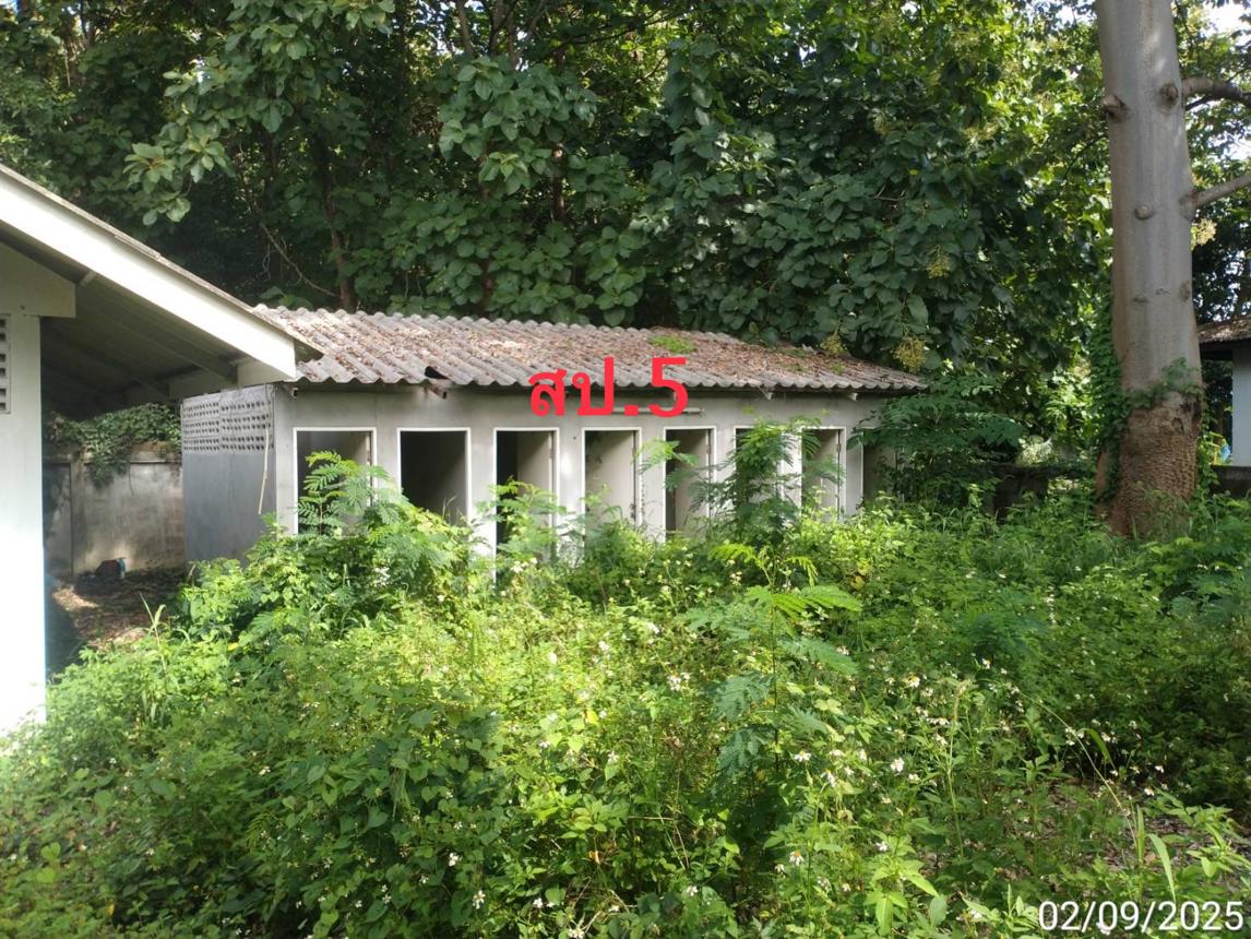 picture FACTORY 3227 Sq.w. Chom Thong Chiang Mai for 27.1M - 31/43