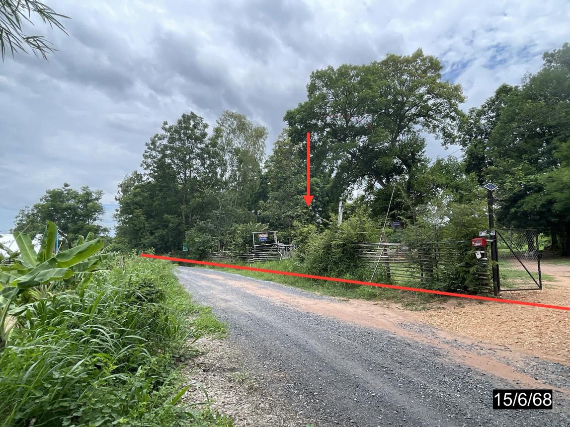picture LAND 2000 Sq.w. Muang Khon Kaen Khon Kaen for 3M - 14/25