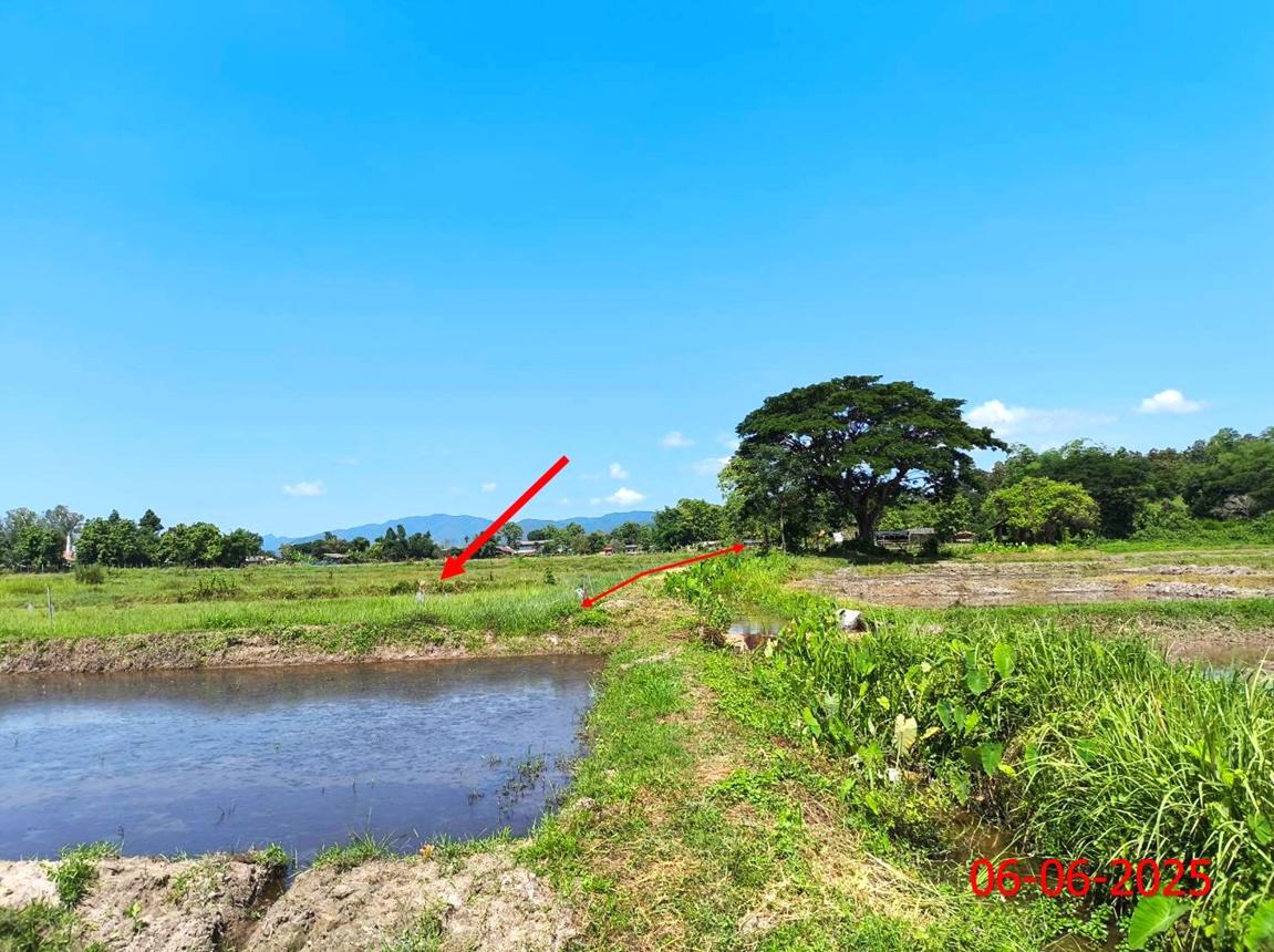 picture LAND 5326 Sq.w. Hang Chat Lamphang for 2.4M - 16/23