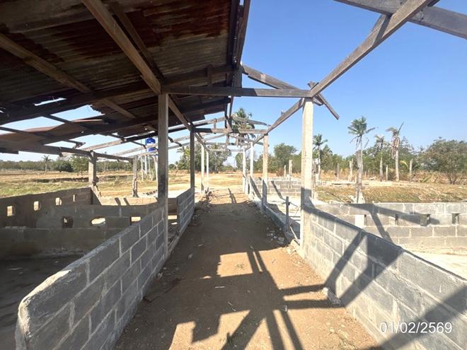 picture LAND 5633 Sq.w. Prang Ku Si Sa Ket for 2.8M - 12/31