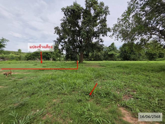 รูป ที่ดินว่างเปล่า 952 ตร.วา วาริชภูมิ สกลนคร 1.3M - รูปที่ 6/25