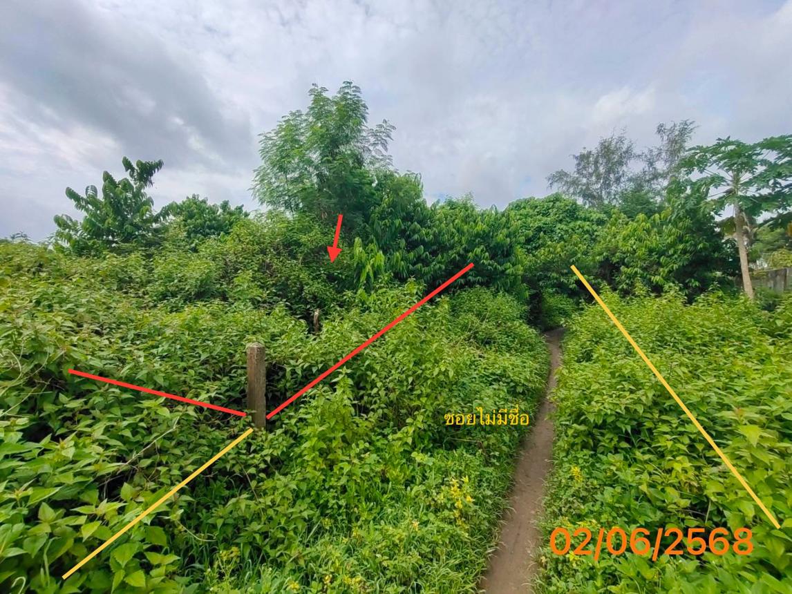 รูป ที่ดินว่างเปล่า 150 ตร.วา เมืองกระบี่ กระบี่ 997,000 - รูปที่ 8/17
