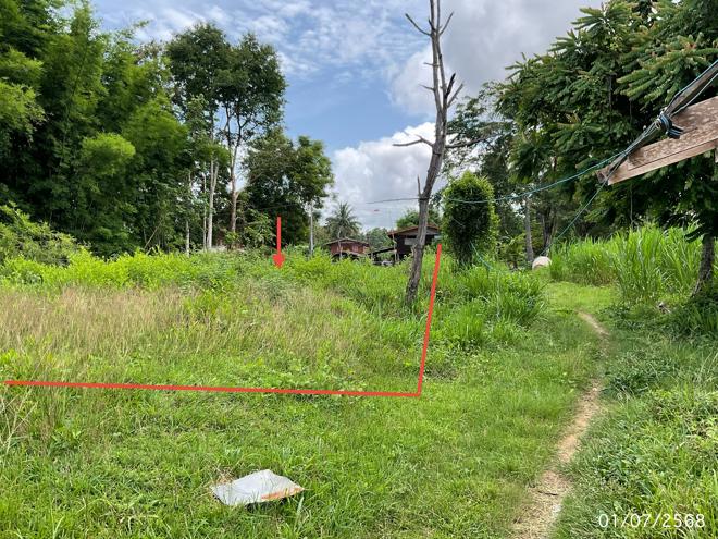 picture LAND 208 Sq.w. Pho Sai Ubon Ratchathani for 142,000 - 2/21