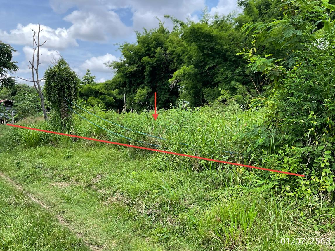 picture LAND 208 Sq.w. Pho Sai Ubon Ratchathani for 142,000 - 10/21