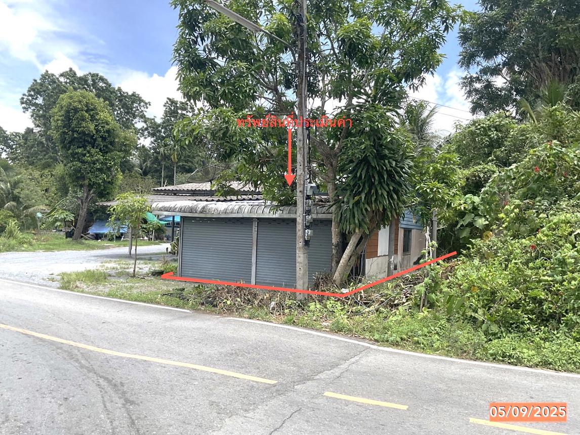 รูป บ้านเดี่ยว 137 ตร.วา ร่อนพิบูลย์ นครศรีธรรมราช 1.1M - รูปที่ 20/25