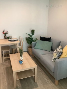 For Rent Condo REGENT HOME SUKHUMVIT 97/1 Building F, Floor 2,1 bed room, Room size 29 sqm