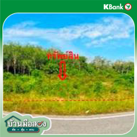 picture LAND 1539 Sq.w. Mae Lan Pattani for 1.4M - 17/19
