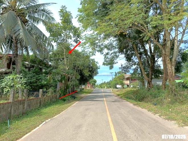 รูป บ้านเดี่ยว 123 ตร.วา ท่าบ่อ หนองคาย 1.2M - รูปที่ 6/17