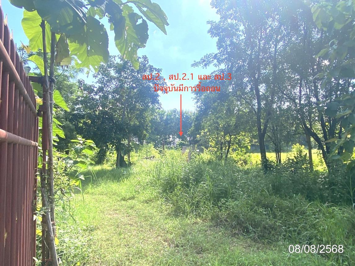 รูป บ้านเดี่ยว 2753 ตร.วา กุฉินารายณ์ กาฬสินธุ์ 3.1M - รูปที่ 15/25