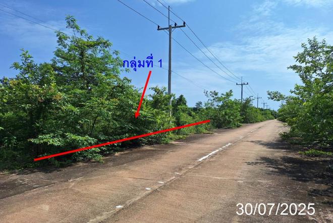 picture LAND 330 Sq.w. Mae Tha Lamphang for 444,000 - 2/23