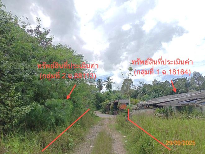 picture FACTORY 1026.6 Sq.w. Muang Trang Trang for 1.7M - 15/35