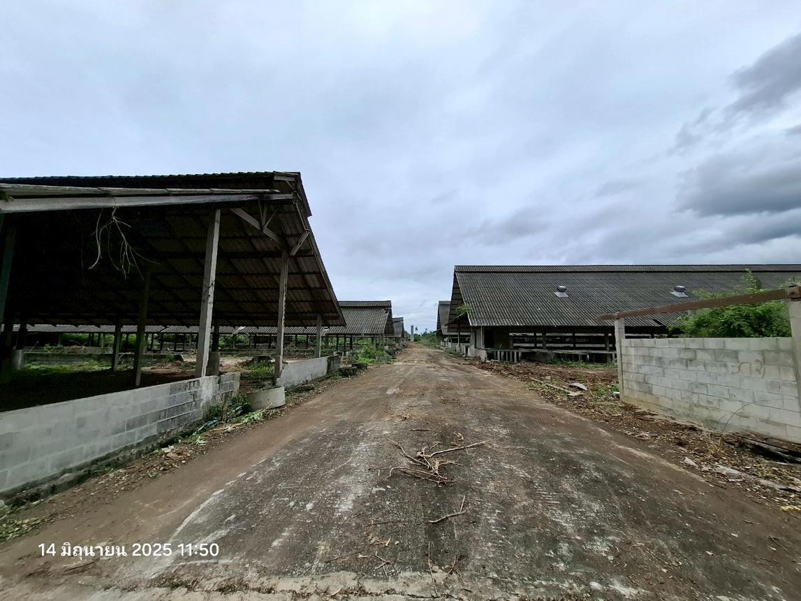 picture LAND 10017 Sq.w. Photharam Ratchburi for 12.8M - 28/37