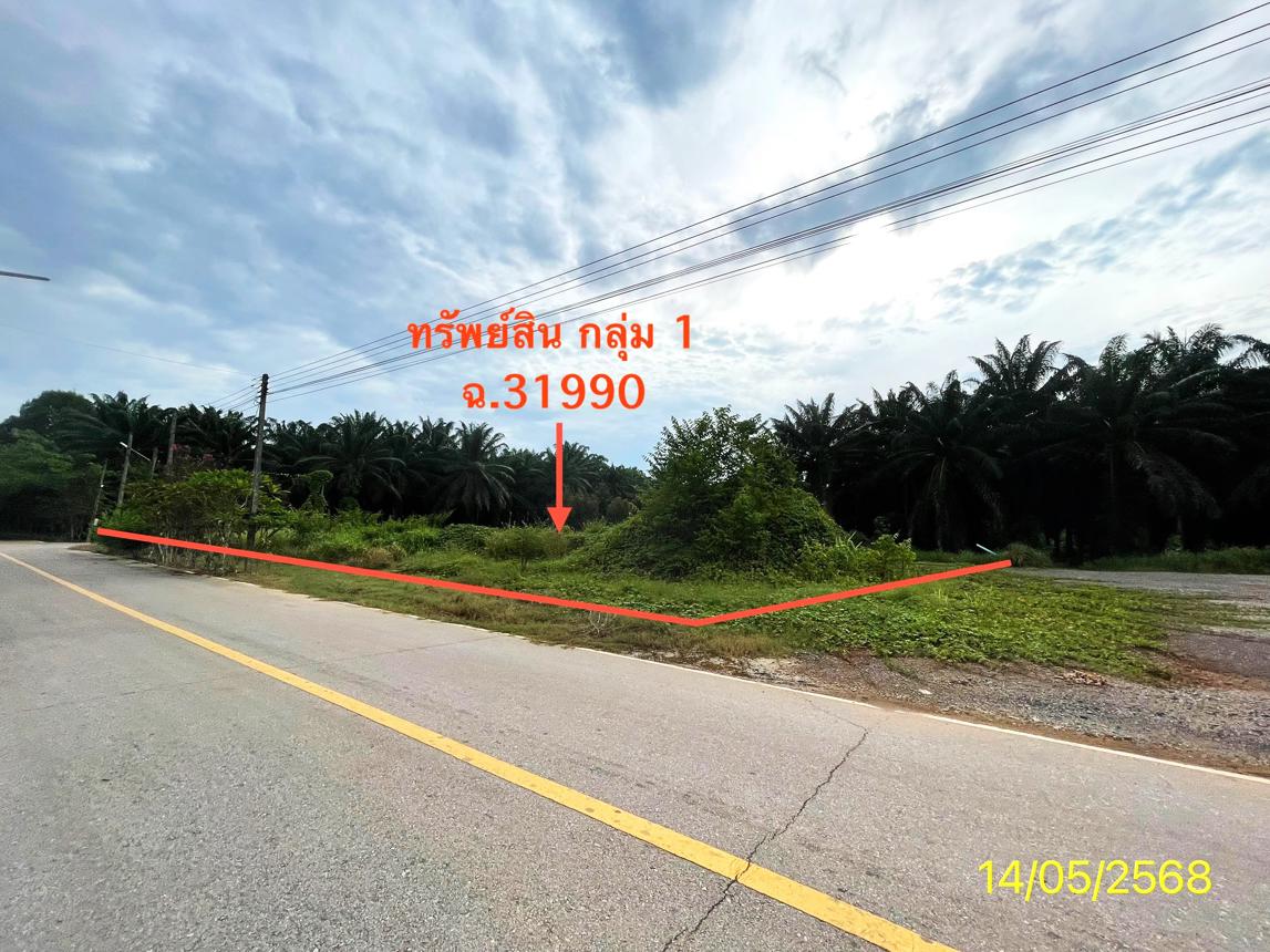 picture LAND 564.2 Sq.w. Palian Trang for 4.2M - 15/25