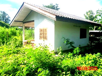 Houses for sale Lamphun : HOME 247 Sq.w. Pa Sang Lamphun for 768,000
