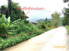 listing thumbnail image 23
