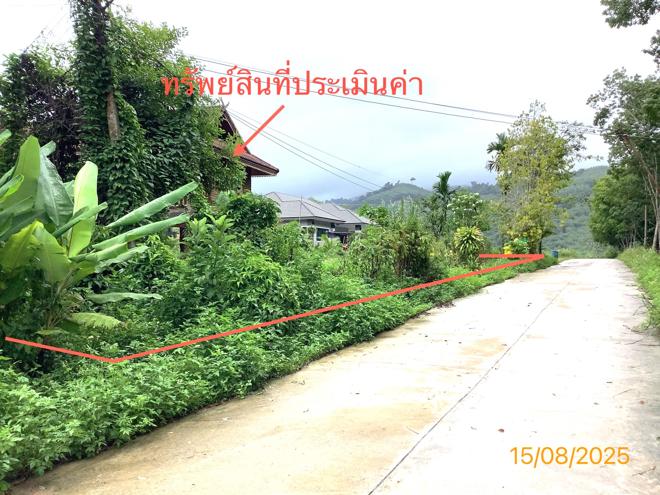 รูป บ้านเดี่ยว 383.6 ตร.วา ทุ่งสง นครศรีธรรมราช 5.5M - รูปที่ 24/51
